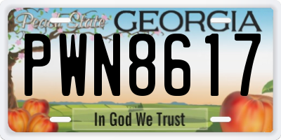 GA license plate PWN8617