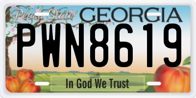 GA license plate PWN8619
