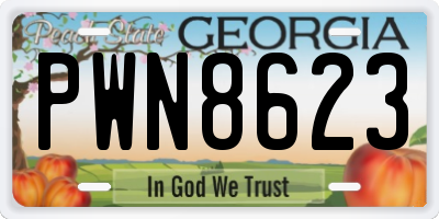 GA license plate PWN8623