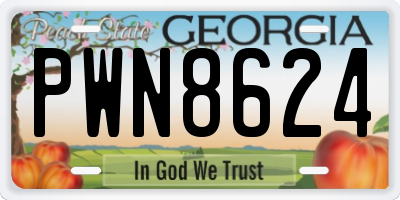 GA license plate PWN8624