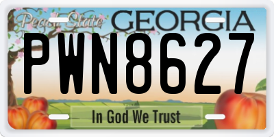 GA license plate PWN8627