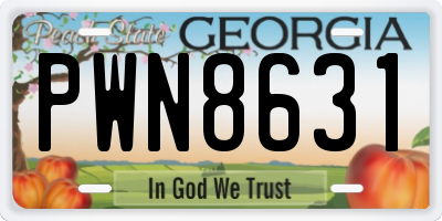 GA license plate PWN8631