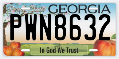 GA license plate PWN8632