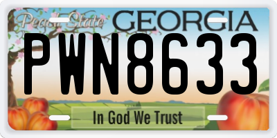 GA license plate PWN8633