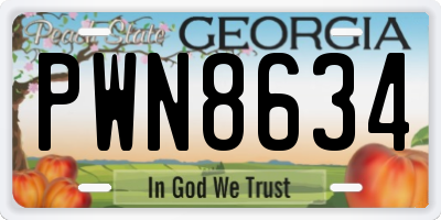 GA license plate PWN8634