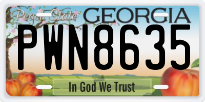 GA license plate PWN8635