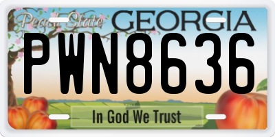 GA license plate PWN8636