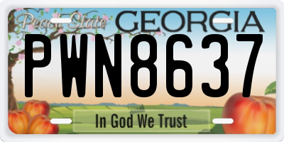 GA license plate PWN8637