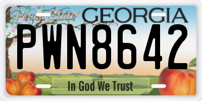 GA license plate PWN8642