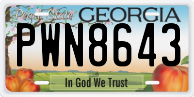 GA license plate PWN8643