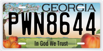 GA license plate PWN8644