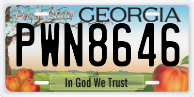 GA license plate PWN8646