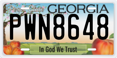 GA license plate PWN8648