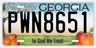 GA license plate PWN8651