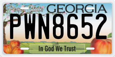 GA license plate PWN8652