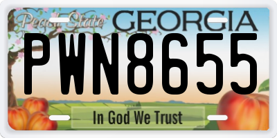 GA license plate PWN8655