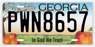 GA license plate PWN8657