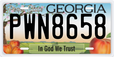 GA license plate PWN8658
