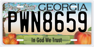 GA license plate PWN8659