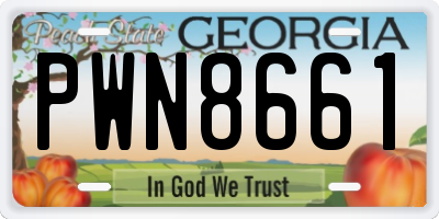GA license plate PWN8661