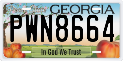 GA license plate PWN8664