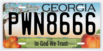 GA license plate PWN8666