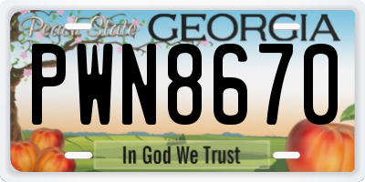 GA license plate PWN8670