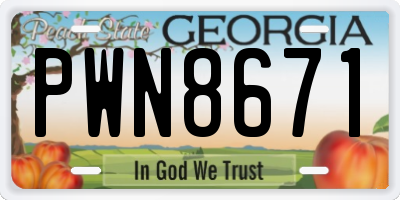 GA license plate PWN8671