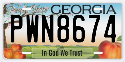 GA license plate PWN8674