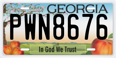 GA license plate PWN8676