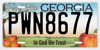 GA license plate PWN8677