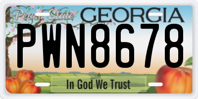 GA license plate PWN8678