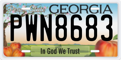 GA license plate PWN8683