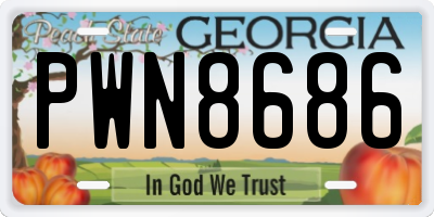 GA license plate PWN8686
