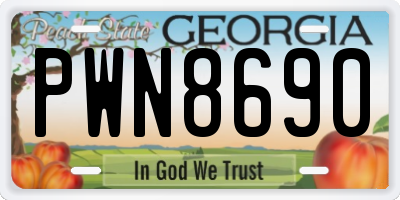 GA license plate PWN8690