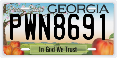 GA license plate PWN8691