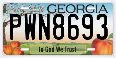 GA license plate PWN8693