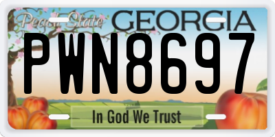 GA license plate PWN8697