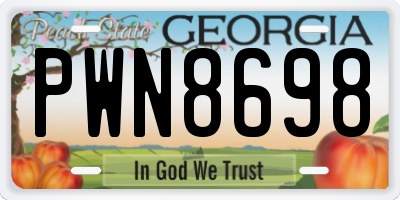 GA license plate PWN8698