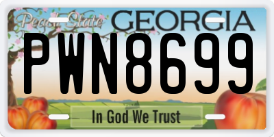 GA license plate PWN8699