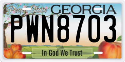 GA license plate PWN8703