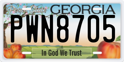 GA license plate PWN8705