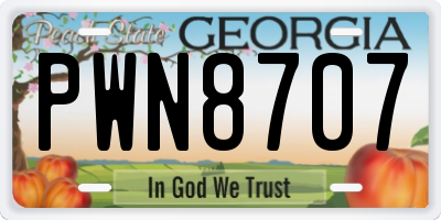 GA license plate PWN8707