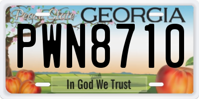 GA license plate PWN8710