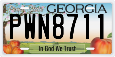 GA license plate PWN8711