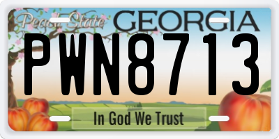 GA license plate PWN8713