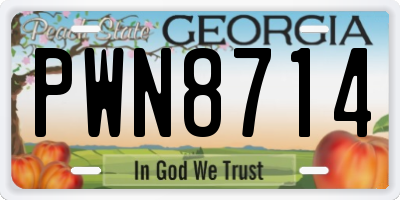 GA license plate PWN8714