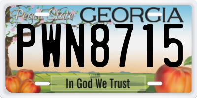 GA license plate PWN8715