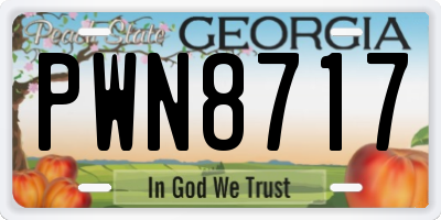 GA license plate PWN8717