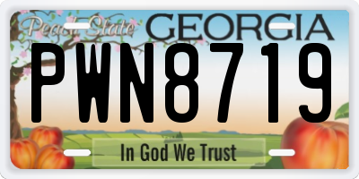 GA license plate PWN8719